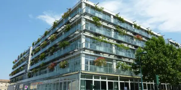 Bordeaux University School of Management